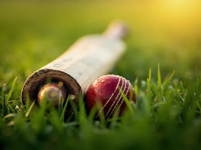 Cricket bat and ball on grass with morning dew